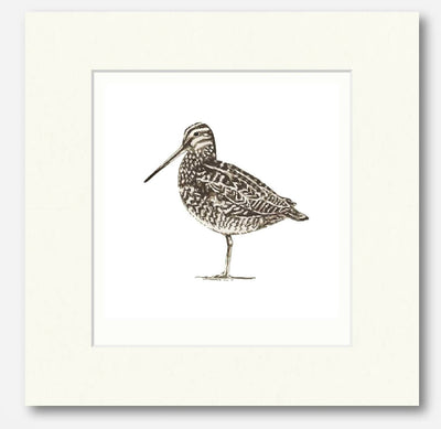 Snipe White -Signed and mounted Giclée Art Print