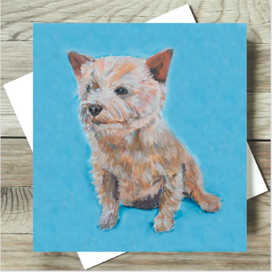 Norwich Terrier Card