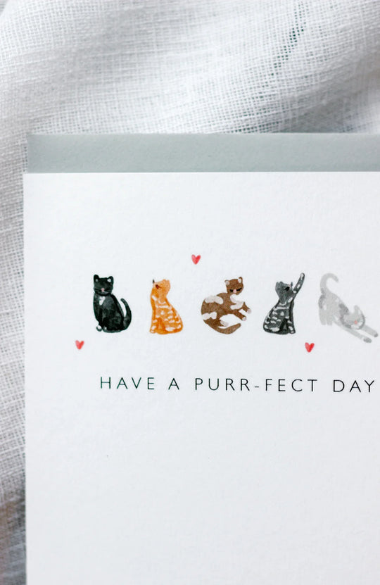 Purr-Fect Birthday Card