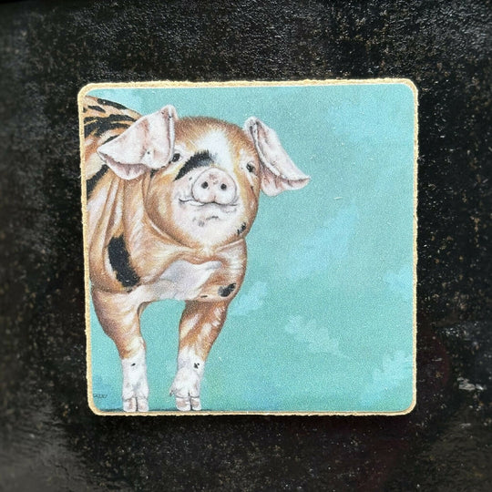 Diddy Pig Fridge Magnet