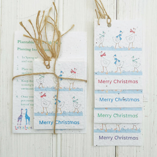 Plantable Seed Card Festive Geese Gift Tags