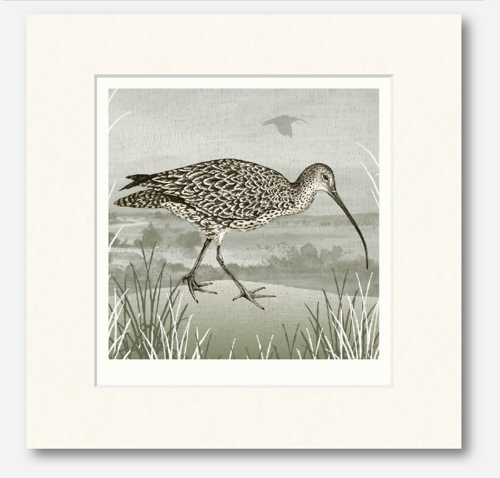 Spring Curlew -Signed and mounted Giclée Art Print