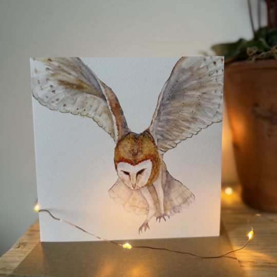 Barn Owl Greeting Card