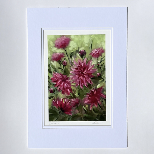 Dahlias Fine Art Print
