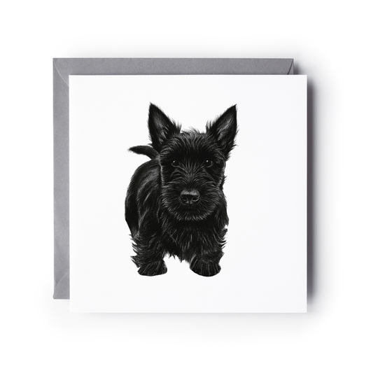 Scotty Dog Pet Greeting Card