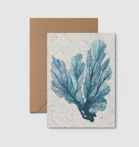 Sea Fan Mini Print Card