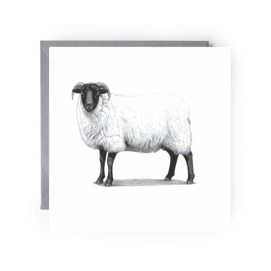 Sheep Greeting Card