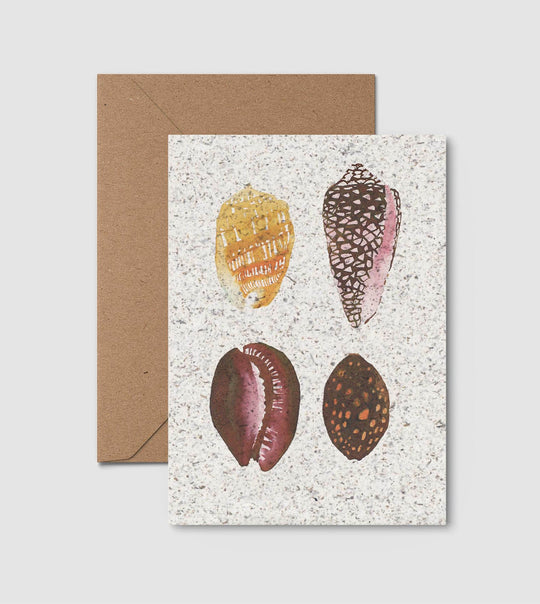 Shells Mini Print Card