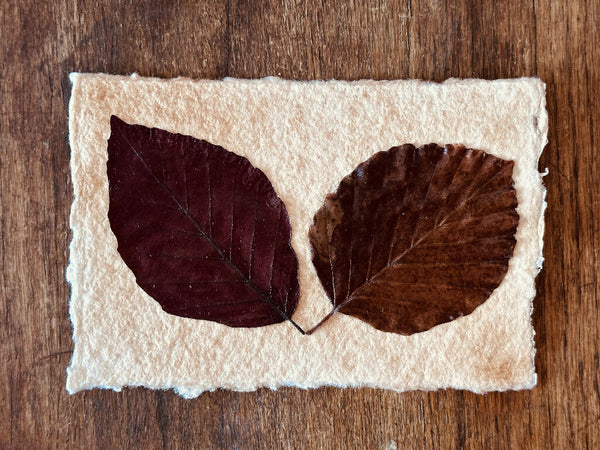 Vintage Autumn Themed Deep Red 2-Leaf Collage