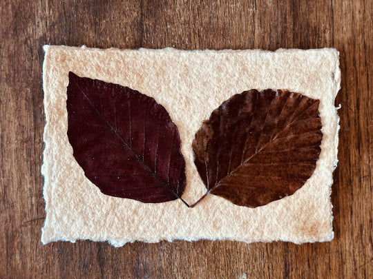 Vintage Autumn Themed Deep Red 2-Leaf Collage