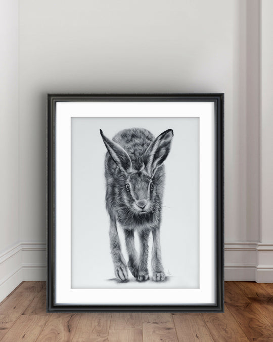 Head On – Charcoal Hare Study Giclée Print