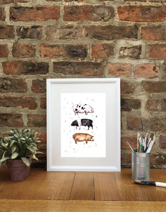 Native Pigs | Signed Limited Edition Print