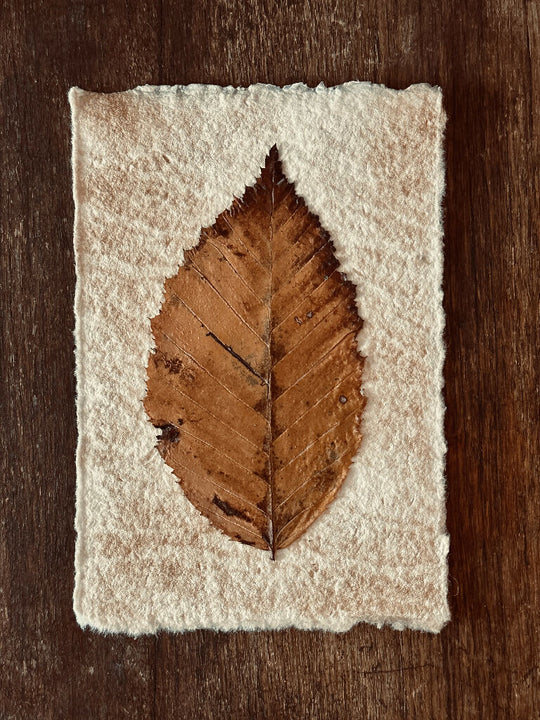 Vintage Style Cottage Core One Leaf Brown Autumn Themed Collage Art