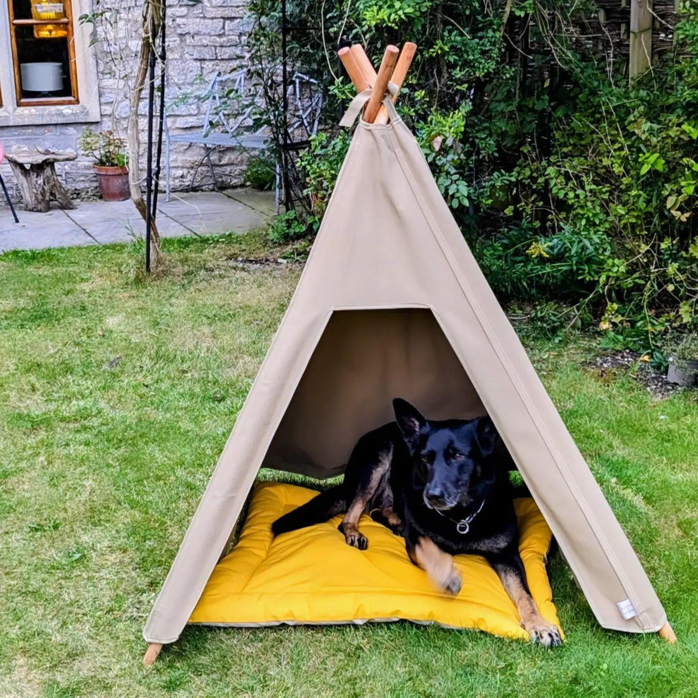 Teepee & Dog Mat Combination Set - Pooch and Paws