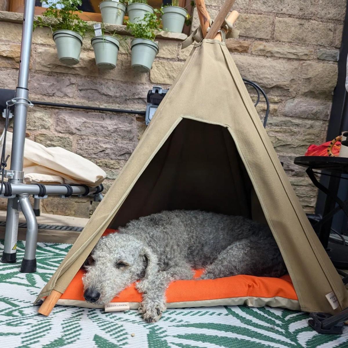 Teepee & Dog Mat Combination Set - Pooch and Paws