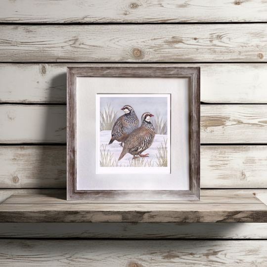 Partridge Signed and Mounted Giclée Art Print