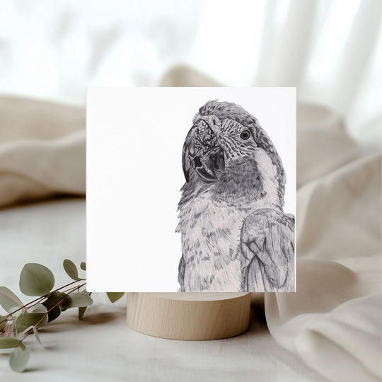 The Parrot Lines Greeting Card