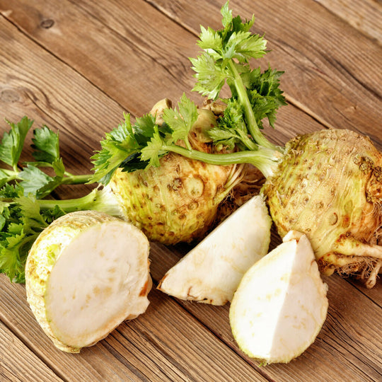 Celeriac Plants, 'Brilliant', 12 x Full Plant Pack