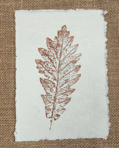 Set of 3 Maple and Oak Original Leaf Prints