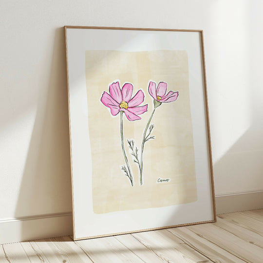Cosmos Flower Illustration Print