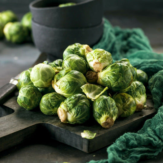 Brussels Sprouts Plants, 'Trafalgar', 12 x Plant Pack