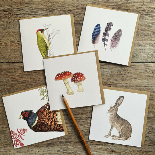 Nature Card Set