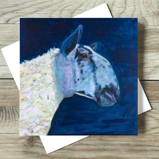 Blue Faced Leicester Sheep Card