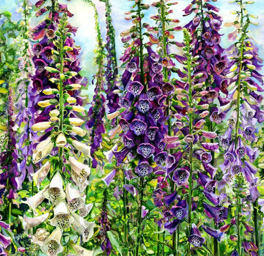Foxgloves
