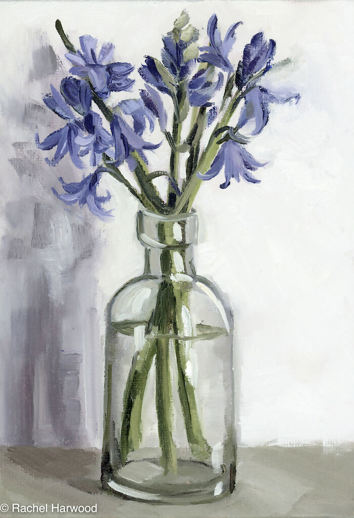 Bluebells Fine art Print