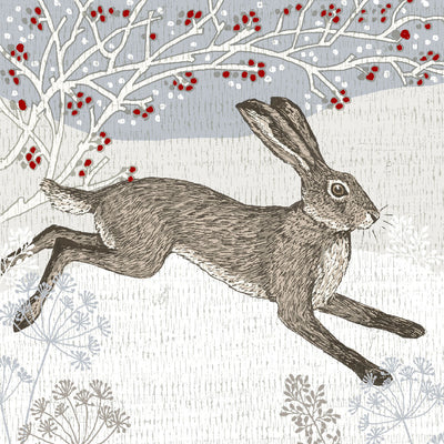 HBD02315 WINTER HARE