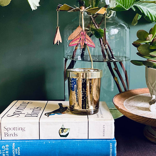 Elephant Hawk Moth Candle Carousel