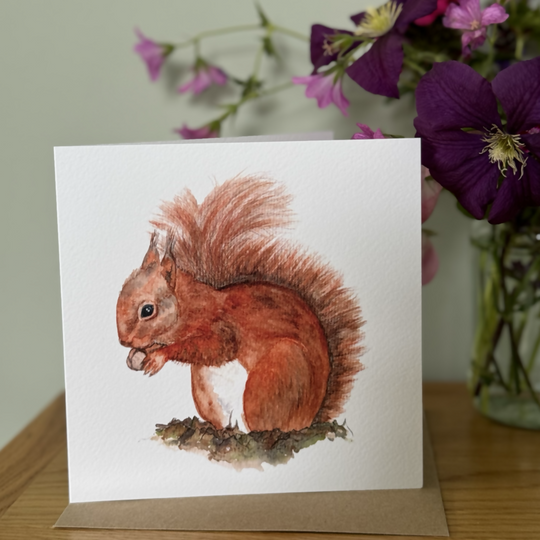 Red Squirrel Greeting Card