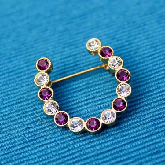 Purple Horseshoe Brooch