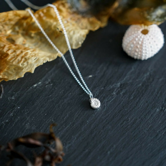 Ammonite Charm Pendant