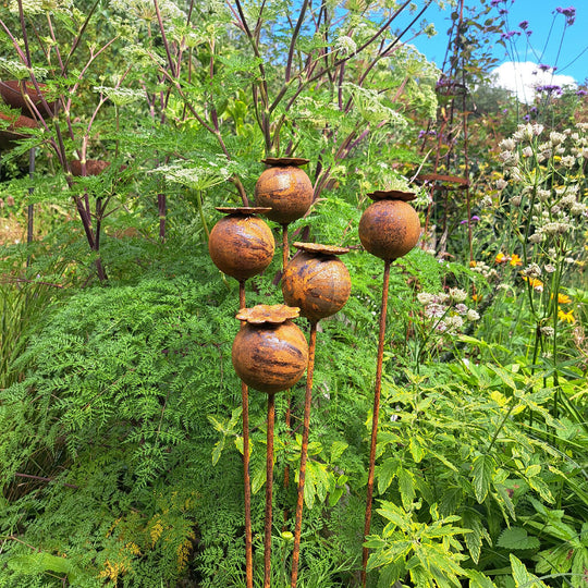 Large metal Poppy Seed Heads, Sculpture for the Garden.