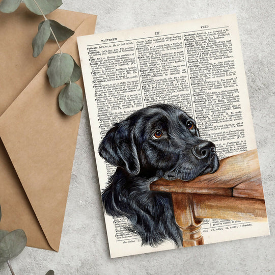 The Labrador -Begging - Greeting Card