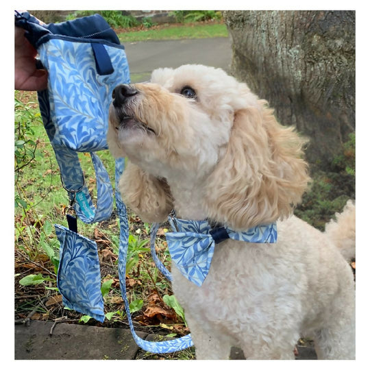 William Morris | Dog Gift Set | Willow Bough | 5 Piece – Sea Breeze