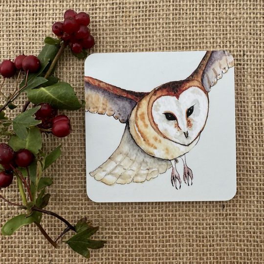 Barn Owl Coaster