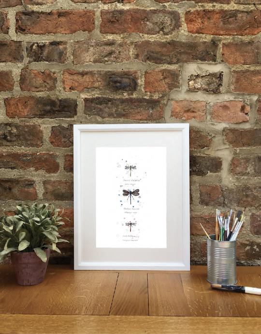 British Dragonflies | Signed Limited Edition Print