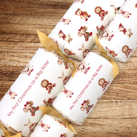 My First Christmas as a Big Sister | Christmas Cracker Kit | SINGLE