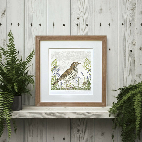 Song Thrush -Signed and mounted Giclée Art Print