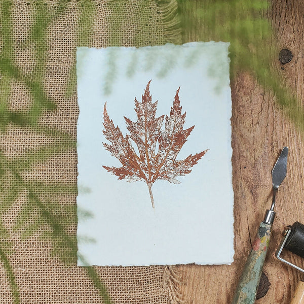 Silver Maple Original Leaf Print in Red Brown
