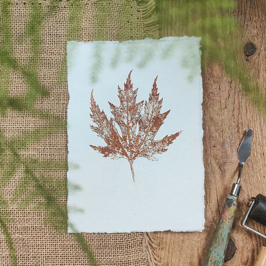 Silver Maple Original Leaf Print in Red Brown