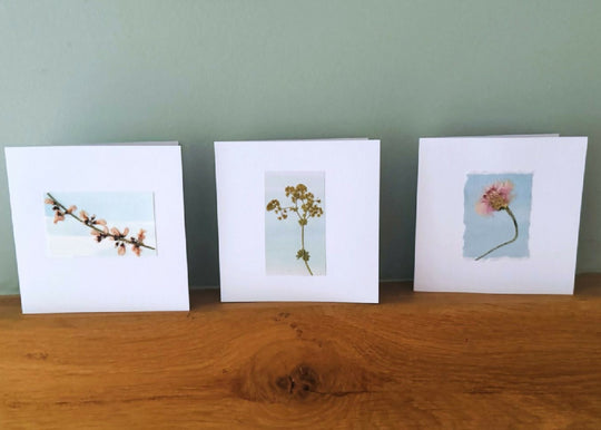 Set of 3 handmade real pressed flower cards