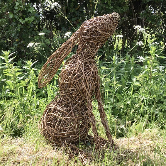 Willow Moon Gazing Hare Kit