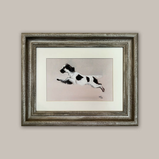 Happy Springer Spaniel - Framed Giclée Print