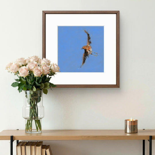 Brave Little Red Robin Giclee Fine Art Print with Bright Blue Background