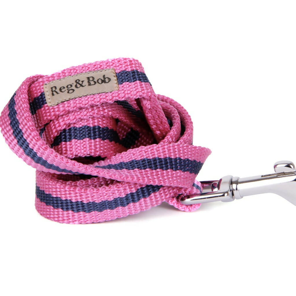 Dog Lead In Pink And Navy Stripe