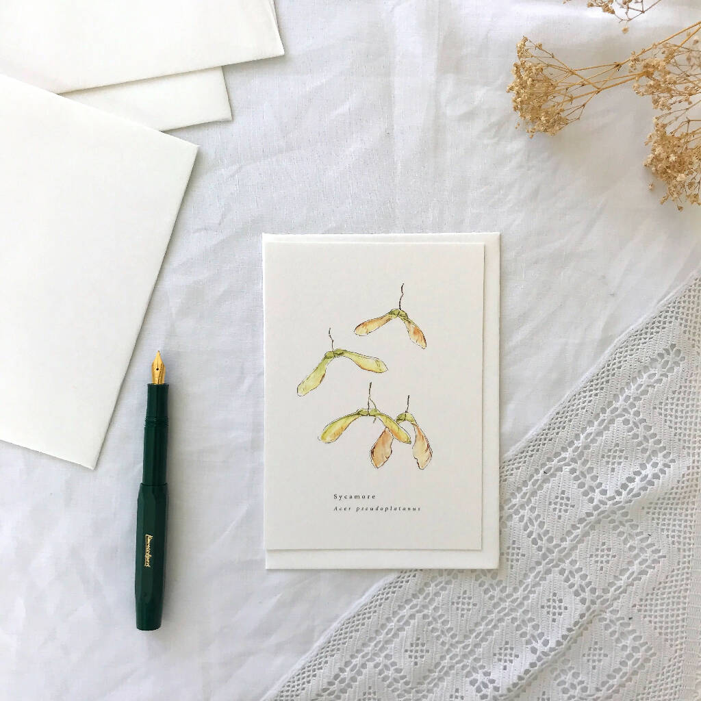 Sycamore Seed Vintage Style Botanical Watercolour Illustrated Greetings Card