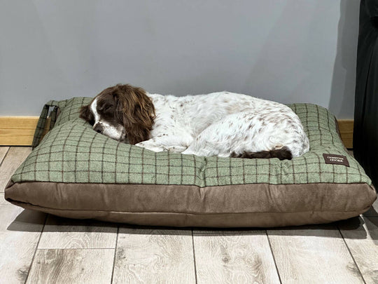 Large Tweed Dog Bed In Olive